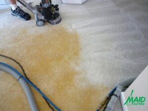 Rotovac Steam Carpet Cleaning by Maid Masters